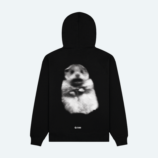 Ice Cream Hoodie