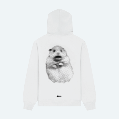 Ice Cream Hoodie